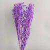 Hierba de Amante Flor Eterna Flor Real Natural Ramo de Flores Eternas Caja de Regalo para el Día de San Valentín con Arreglo Floral de Aromaterapia Especial al por Mayor