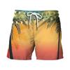 Pantalones Cortos de Playa Estilo Hawaiano para Hombre, Estampado Digital 3D, Europeos y Americanos, Transfronterizos, para Verano 2024, Juventud, Viajes