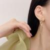 S925 Agulha de Prata Moda Nicho Cadeia Brincos Mulheres Ins Estilo Elegante Simples Ear Stud Design Ear Clip Novos Brincos
