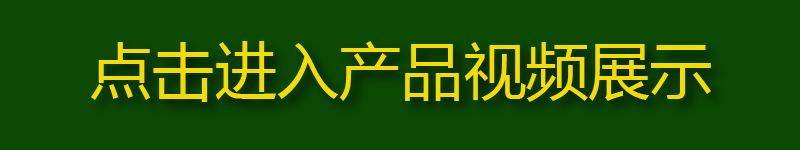 视频展示