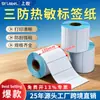Papel Térmico Adesivo Shangyue 100x20 Papel Adesivo Térmico Papel Térmico Adesivo à Prova de Três