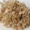 Hortensia Anna Wood Grado B Hortensia Inmortal Hortensia de Mediana Edad Hortensia Gradiente Flores Secas Flores Preservadas 2 g/Paquete Suministro Directo de Fábrica
