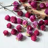 Materiais de Flores Secas Galhos Bolotas Pinhas Algodão Vagens de Lótus Jardim de Infância Artesanato Velas Aromáticas Fatias Decoração Adereços para Fotos