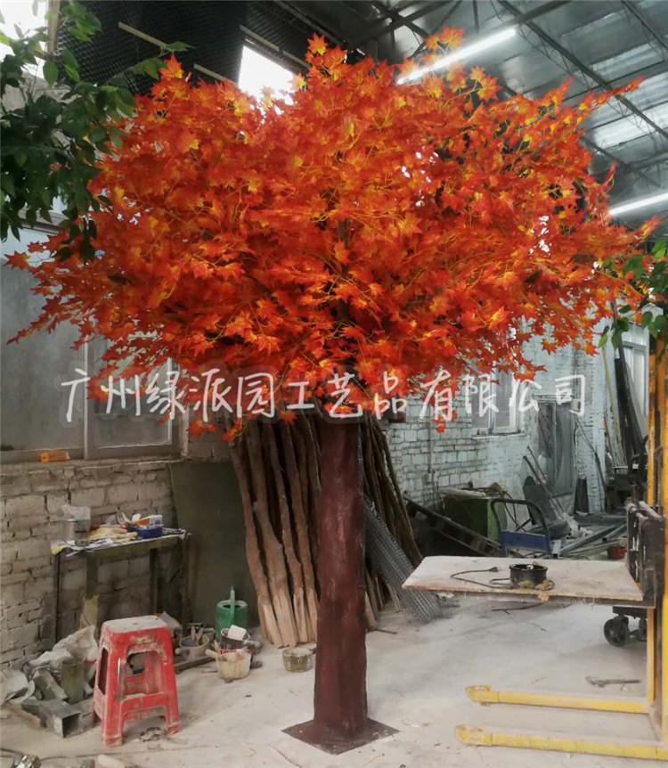 枫树红枫树绿枫152.jpg