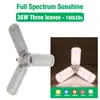 Luz Suplementaria de Espectro Completo para Suculentas, Luz LED para Crecimiento de Plantas que Mejora el Color, Plegable para Frutas, Verduras y Plántulas de Flores, Portátil
