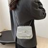 Bolso Cruzado de Diseño Nicho Estilo Coreano 2024 Otoño Nueva Moda Casual Moderno Plisado Cadena Cruzado Viajero
