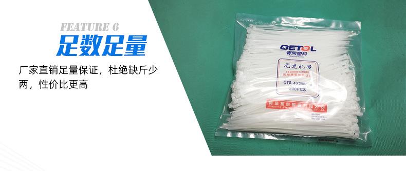 尼龙扎带_35