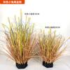 Plantas Verdes Artificiales, Hierba Cola de Perro, Hierba Oruga, Decoración de Piso para Escaparates, Hierba de Junco, Decoración Suave, Adornos de Bonsái, Fabricante de Césped