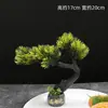 Hotel Sashimi Mariscos Moriawase Decoración de Presentación Flores Plantas Plato Creativo Adorno Pino Decoración de Plato Pequeños Adornos Decoraciones