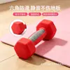 Halteres para Fitness em Casa, Halteres Sólidos de Ferro Fundido Revestidos de Plástico, Equipamento Portátil para Perda de Peso, Pequenos Halteres de Yoga para Mulheres, Halteres de Ferro Fundido