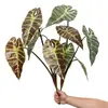 Planta verde artificial de hoja de taro para diseño de paisajes, decoración del hogar, hojas verdes tropicales colocadas en el suelo, planta artificial, bonsái de taro con hojas coloridas