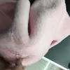 Tecido de Pelúcia Imitação de Pelo de Coelho Rex Espesso Tecido de Pelo Cabelo de Boneca Fundo de Balcão Display Artesanal DIY