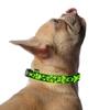 Pet suprimentos noite aviso anti-perda liga de zinco fivela carregamento USB corda bordado LED luminoso coleira cachorro cachecol