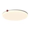 [Seleção Rigorosa] Creme Protetor Ocular de Espectro Total Estilo Feijão Vermelho Minimalista Moderno Ultrafino Ultrabrilhante Lâmpada de Teto Pacote Completo para a Casa