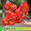 Folhas Vermelhas de Bordo Simulação Folhas de Garra de Frango Bordo Folhas de Wutong Folhas Falsas de Figueira Folhas de Ginkgo Decoração Galhos de Outono Engenharia Árvore Morta Paisagismo