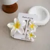 Presilha Plumeria a Laser Passeio de Verão na Praia Foto Presilha de Flor Ins Presilha de Tubarão Sexy Europeia e Americana Meio Coque