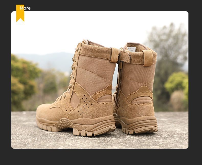 0e8bad01-9eaa-457f-aa82-cc035ffcb9ea.jpe