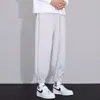 Calça Esportiva Cinza Masculina Primavera e Outono Perna Larga Calça Harem Moda Coreana Calça de Moletom Forrada com Lã Casual Comprimento no Tornozelo