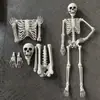 Plástico de cuerpo humano simulado para Halloween, esqueleto de 165 cm para sala de escape, casa embrujada, cosplay, accesorios y adornos de decoración de bares