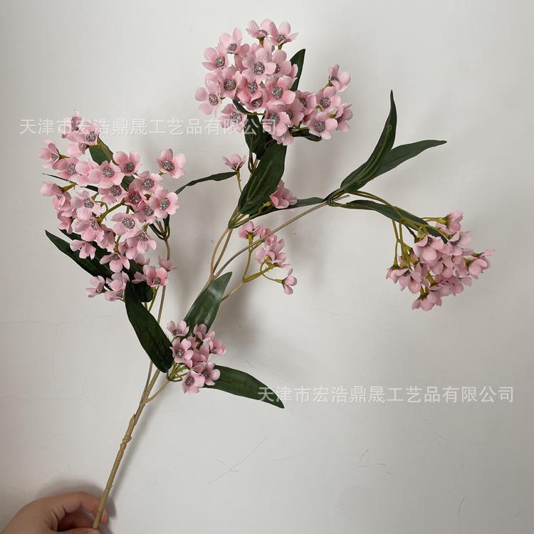 微信图片_202211251407367_副本