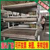 Transportador de cadena alimentaria de acero inoxidable elevador de alta temperatura transportador de cadena de transmisión limpieza de frutas y verduras