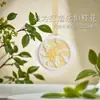 Fragrância de Melaleuca Pendurada no Guarda-Roupa, Enfeite Pendurado para Carro, Pastilhas de Fragrância para Carro, Difusor de Gesso de Gardênia, Aromaterapia para Carro