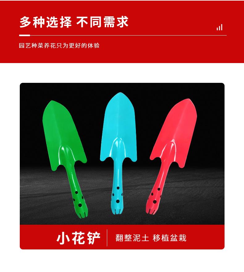 详情_03.jpg