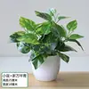 Simulación de hojas de rábano verde flores artificiales en maceta plantas verdes artificiales de plástico para interiores y exteriores de pie bonsái mampara macetero flores decorativas