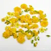75 apliques de flor de tecido artesanal de alta qualidade estilo INS cor de outono terno DIY acessórios de cabelo sapatos e chapéus flor de cabeça material de flor