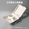 Caixa de Refeição Descartável de Polpa Biodegradável Ecológica Caixa de Almoço Personalizável Caixa para Fast Food Caixa de Almoço com Compartimento com Tampa Caixa para Levar