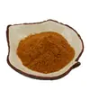Fornecedor Poderoso de Extrato de Coptis, Pó de Coptis, Pó Solúvel em Água de Extrato de Coptis, Pó de Extrato, Grau Alimentício, Fábrica SC, em Estoque