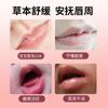 Bálsamo Labial Personalizado para Bebés para Proteger Contra la Saliva, Bálsamo Labial Hidratante para Bebés, Bálsamo Labial Hidratante y Humectante para Bebés, Procesamiento OEM