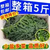 Hojas de wakame frescas, hojas de wakame semi-secas sin sal, caja completa de 2.5 kg de plántulas de kelp, no es col marina