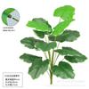Imitación de hoja de taro de color real, planta verde, tacto de hoja de taro, sala de exposiciones para el hogar, decoración de pared de plantas, hoja de tortuga, fotografía al por mayor