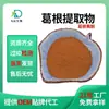 Polvo de Raíz de Kudzu, Extracto de Raíz de Kudzu, Fabricante de Materias Primas para Productos de Salud, Venta al por Mayor de Flavonoides de Kudzu de Alta Pureza en Stock