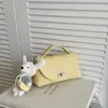 Diseño de Nicho Bolso Nuevo para Mujer, Bolso de Hombro Cruzado Casual a la Moda, Nuevo Estilo Primavera 2026, Bolso Cuadrado Pequeño Personalizado