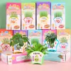 Planta Verde Pequena Planta em Vaso Lição de Casa Infantil diy Mini Plantio Experimento Científico Pequenos Floricultores Semente de Flor Presente Caixa Surpresa