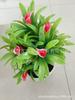 Bonsái Artificial Pequeño de Plástico con Flores de Lirio Calla al por Mayor para Hogar, Hotel y Lugares Públicos
