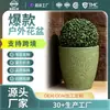 Macetas de Óxido de Magnesio Flor de Veta Fina de Gran Diámetro Transfronterizas para Jardines de Interior y Exterior, Personalizables en Tamaño y Color