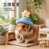 Venta directa del fabricante: Gorros de disfraz para mascotas pequeñas, gorros de punto de estrella para hámster dorado, gorros de lana mini para petauro del azúcar