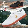Sapatos de Tai Chi para mulheres, couro genuíno e solas de couro bovino, sapatos profissionais de artes marciais, sapatos esportivos para primavera e outono, sapatos de treino de Tai Chi para verão para homens