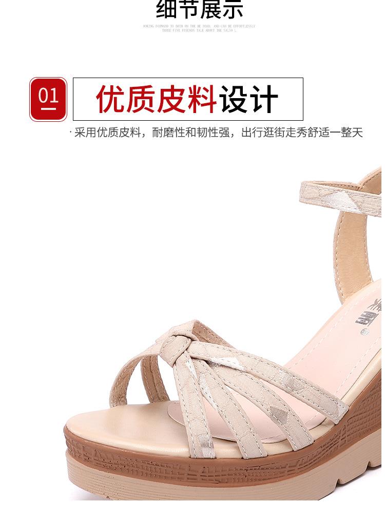 杏色_08.jpg