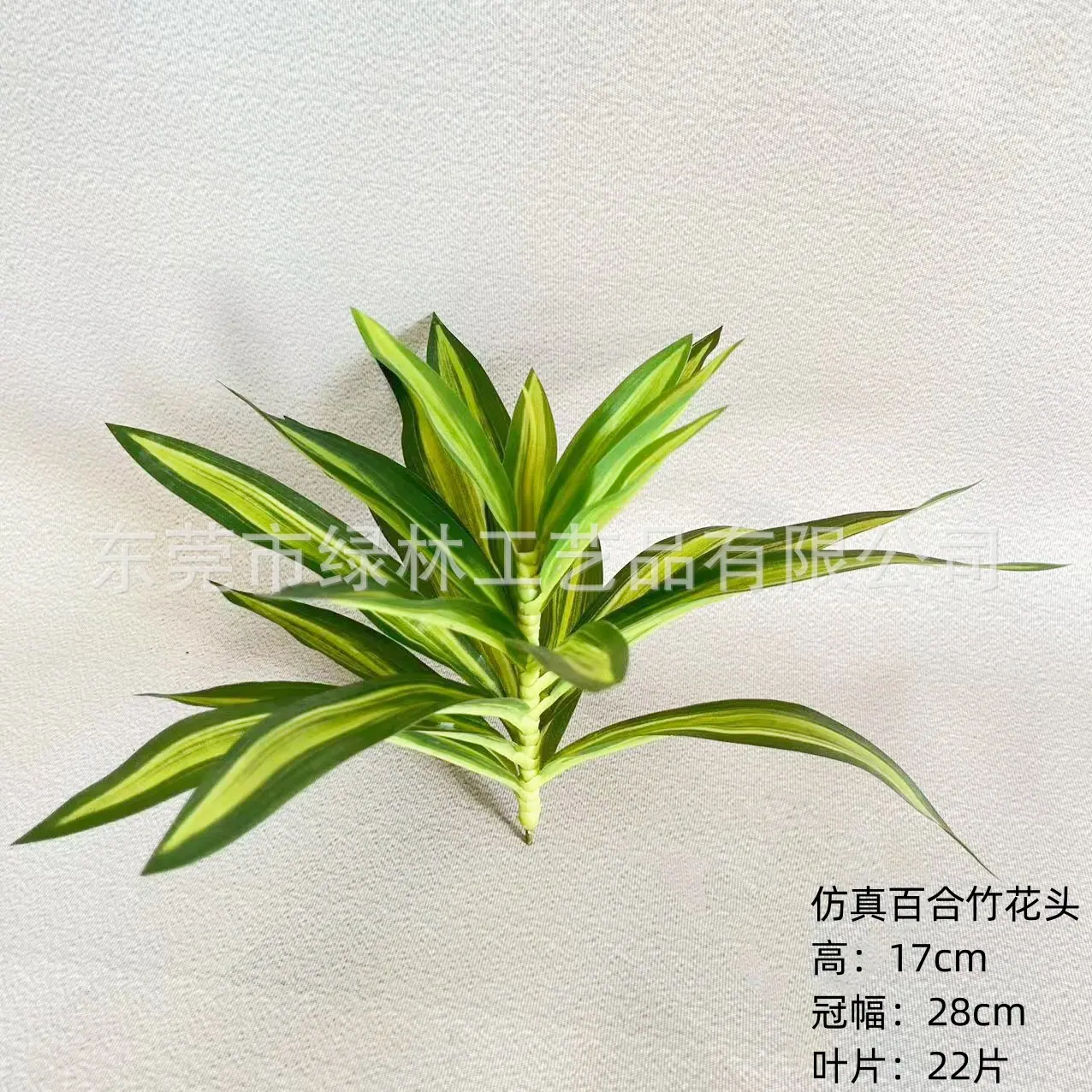 主图1