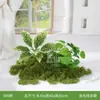 Plantas Verdes Simuladas Paisajismo Plantas Falsas Musgo Verde Musgo Verde Combinación de Micro Paisaje Decoración de Interiores Decoración de Exhibición para Ventanas y Pasillos