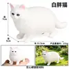 Traje de modelo de gato animal de simulación para niños, juego de gato, gatito, modelo de gatito blanco y negro, juguetes, adornos