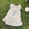 Roupa Fina Anti-Queda para Cães e Gatos Primavera e Verão, Respirável com Guia, Peitoral com Estampa Floral para Bichon, Spitz Alemão, Corgi, Poodle