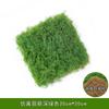 Musgo Simulado Seda Lana Musgo Piel Musgo Falso Diseño Micro Paisaje Decoración de Césped Maceta Bonsái Adoquín Paisajismo