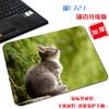 [Una generación de cabello] pequeño lindo gato tela antideslizante tapete para computadora arte estético simple borde bloqueado alfombrilla de ratón