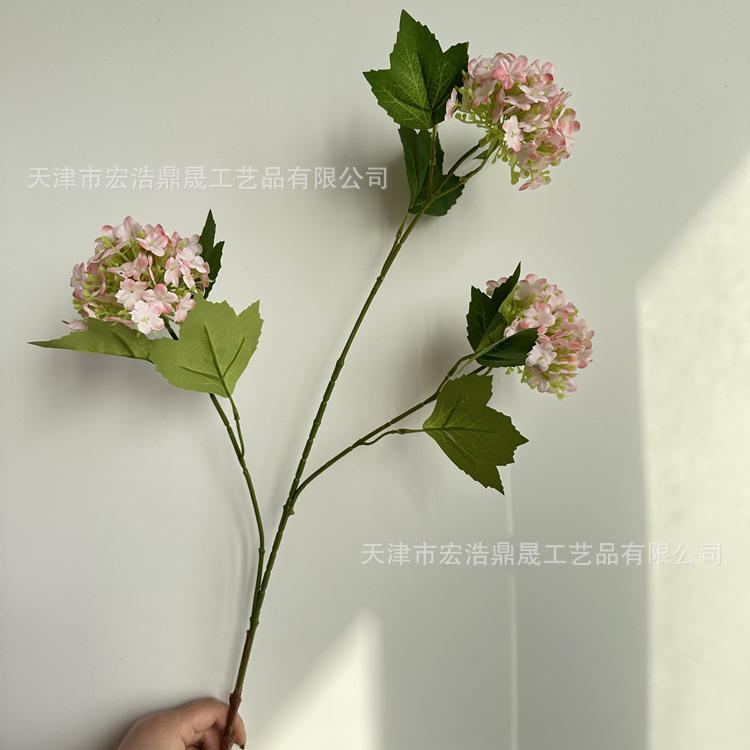 微信图片_202303091820179_副本