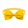 Gravata Borboleta Nova para Pet Transfronteiriça Gravata Borboleta Lisa Gravata Borboleta Ajustável Universal para Gatos e Cachorros em estoque Produtos para Pets
